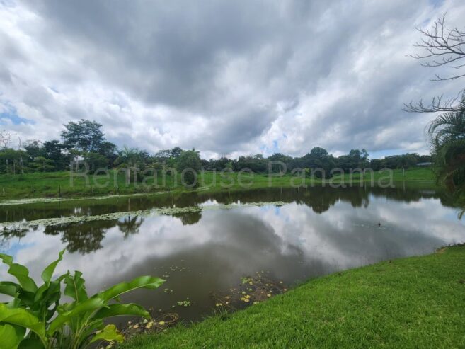 Alquiler de Terreno en La Chorrera , Panama 25gc4376